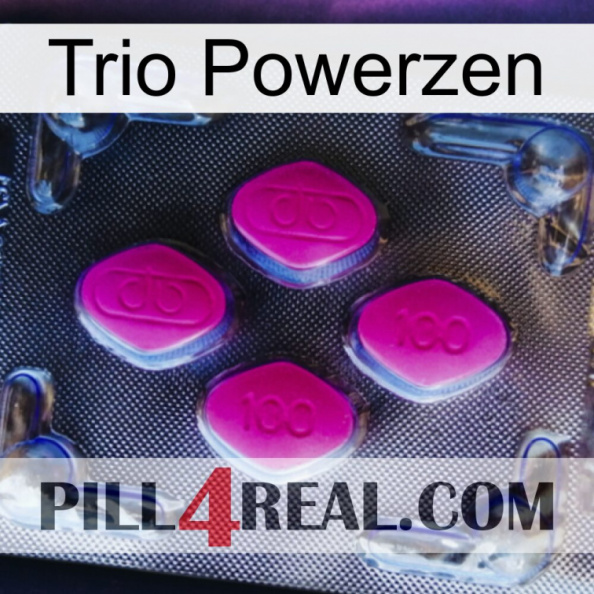 Trio Powerzen 02.jpg